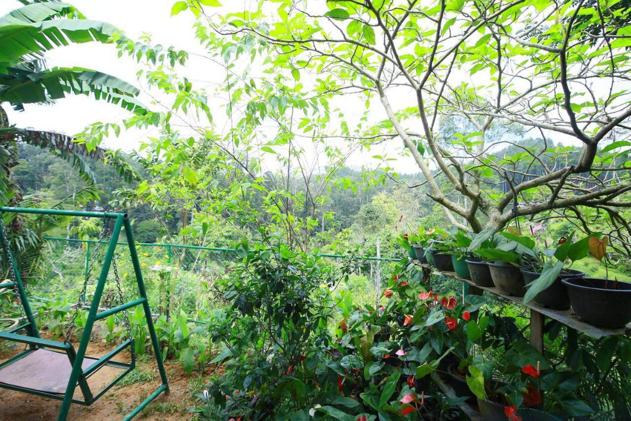 Nature Relax Ella Luaran gambar